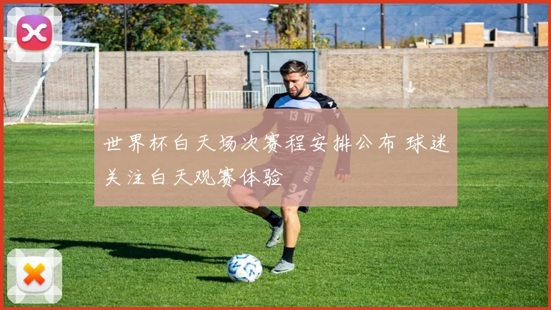 世界杯白天场次赛程安排公布 球迷关注白天观赛体验