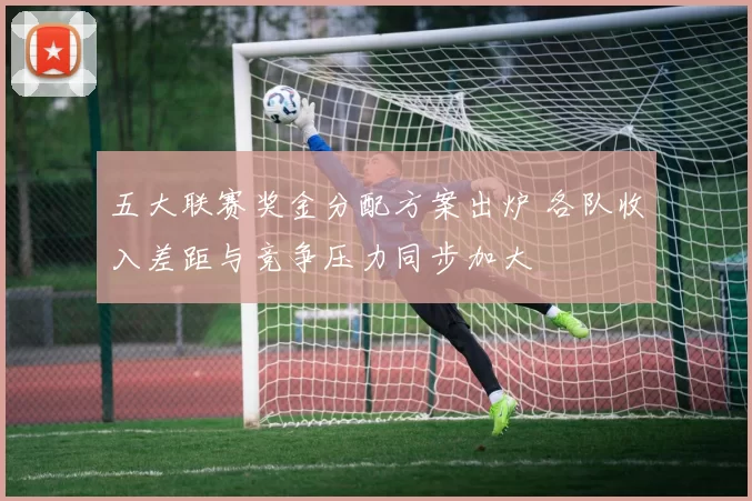 五大联赛奖金分配方案出炉 各队收入差距与竞争压力同步加大