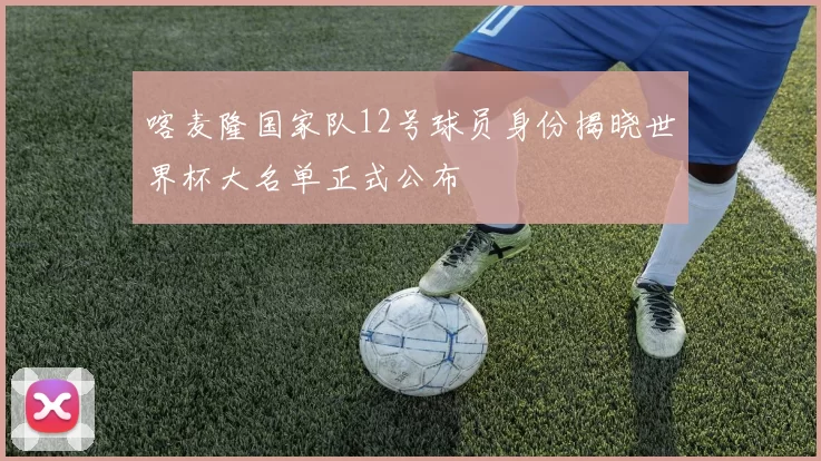 喀麦隆国家队12号球员身份揭晓世界杯大名单正式公布