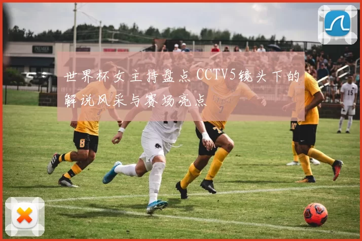 世界杯女主持盘点 CCTV5镜头下的解说风采与赛场亮点