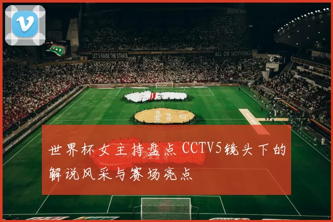 世界杯女主持盘点 CCTV5镜头下的解说风采与赛场亮点